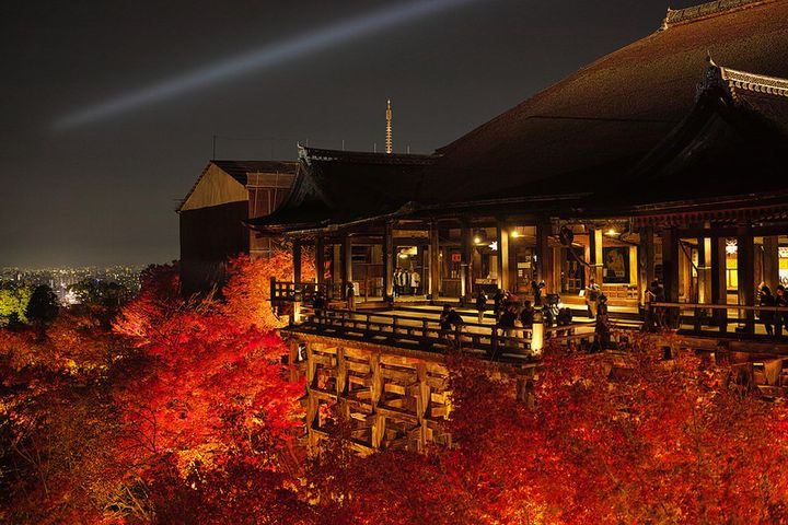 京都世界文化遗产~ 一站到京都，新内装华丽，自住投资皆宜，82平方米约233万港元👍