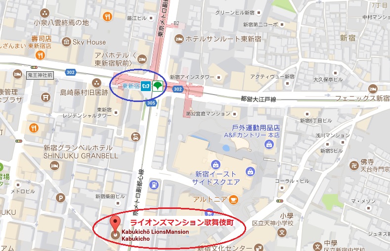 ライオンズマンション歌舞伎町　地図.jpg