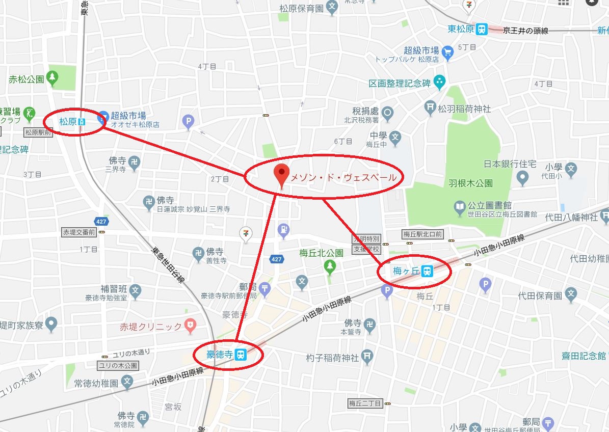 google map 1a
