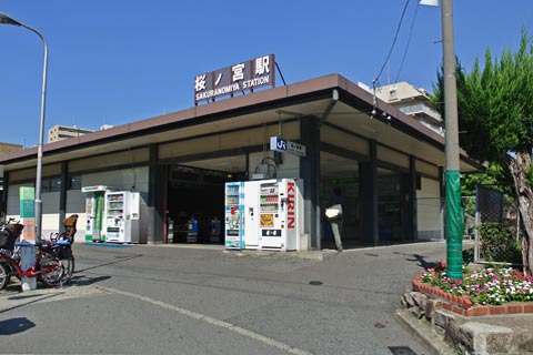 sakuranomiyast005