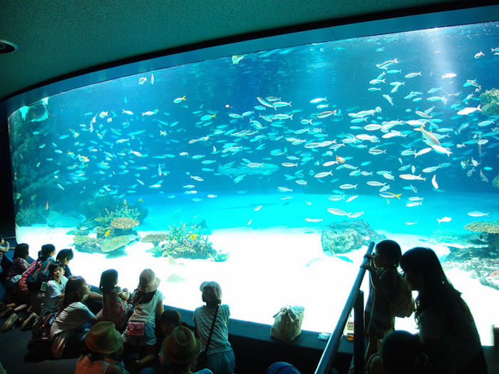 Sunshine-Aquarium.jpg