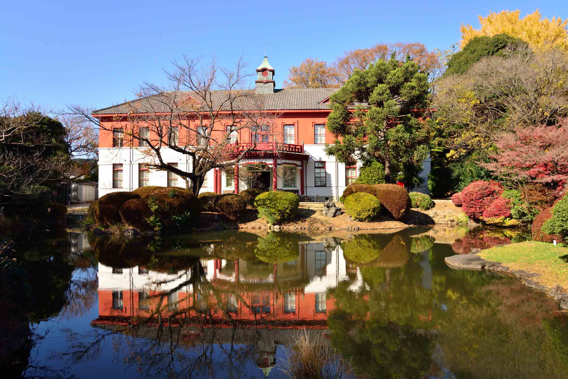 日本人长期之宠 – 文京区 小石川植物园