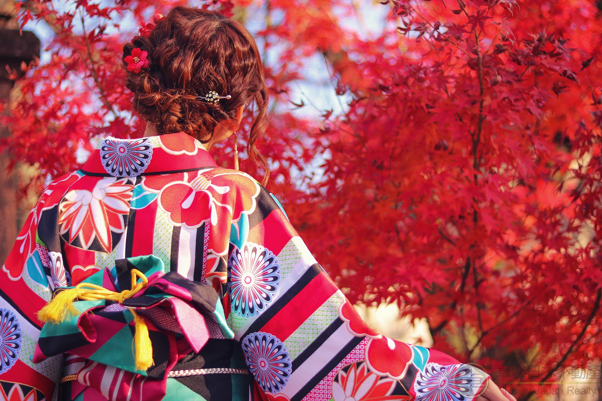 日本红叶季，秋之风物诗。东京人气枫叶景点看这里
