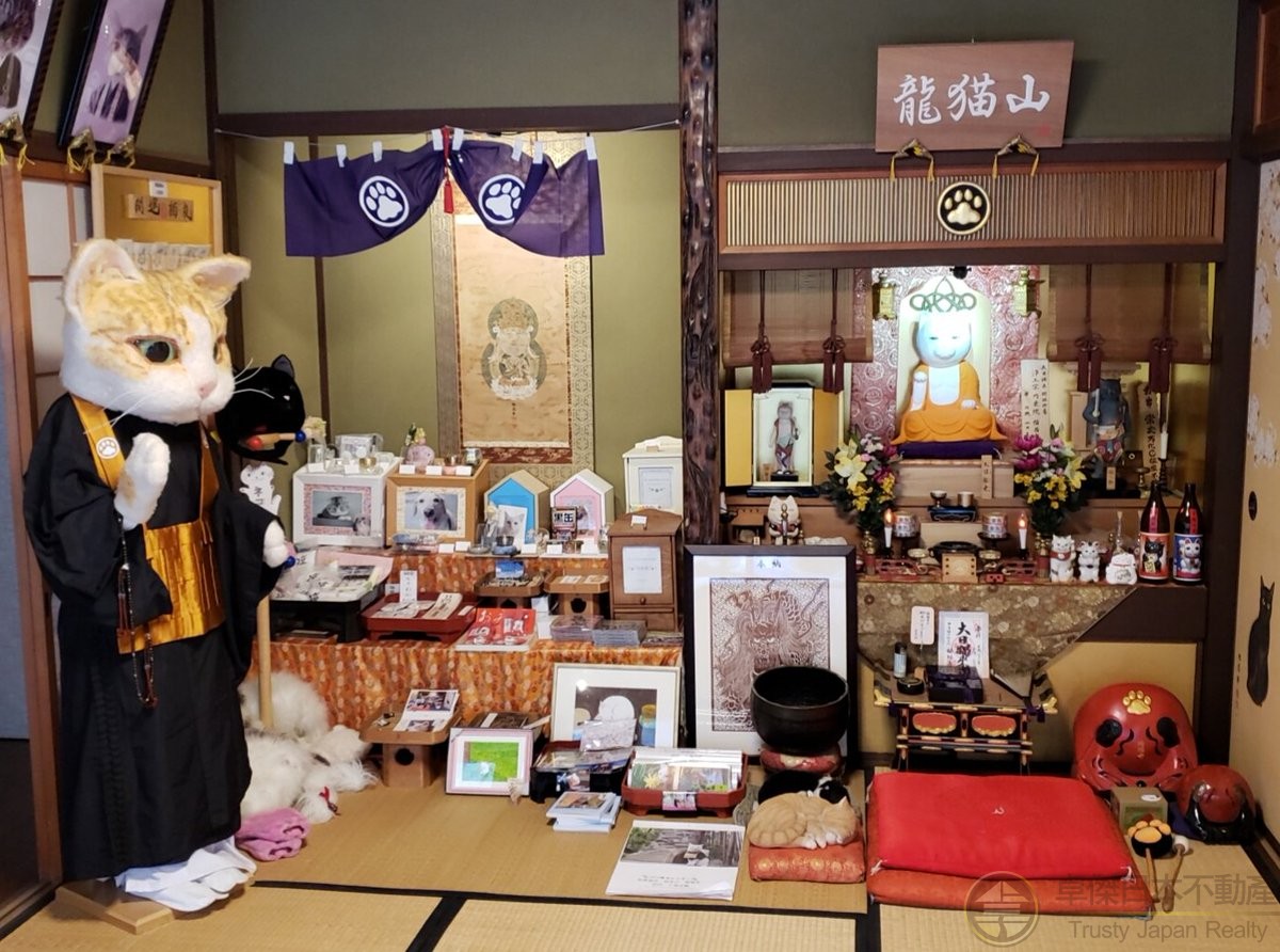 日本文化丨收集好運~多種多樣貓咪設計圖案的人氣御朱印賬