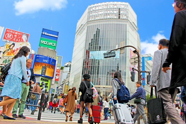 押金Bye！！日本IC卡“西瓜卡Suica”，“PASMO”推出“外国游客版”交通卡，还是限定卡面~