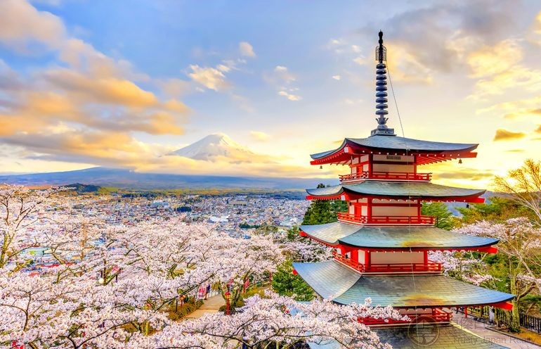 畅游日本|（后续）2019外国游客票选日本热门旅游景点