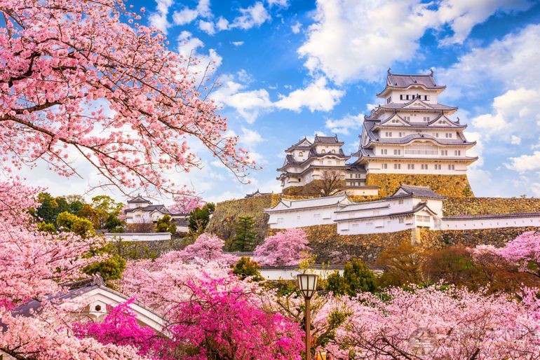 畅游日本|2019外国游客票选日本热门旅游景点