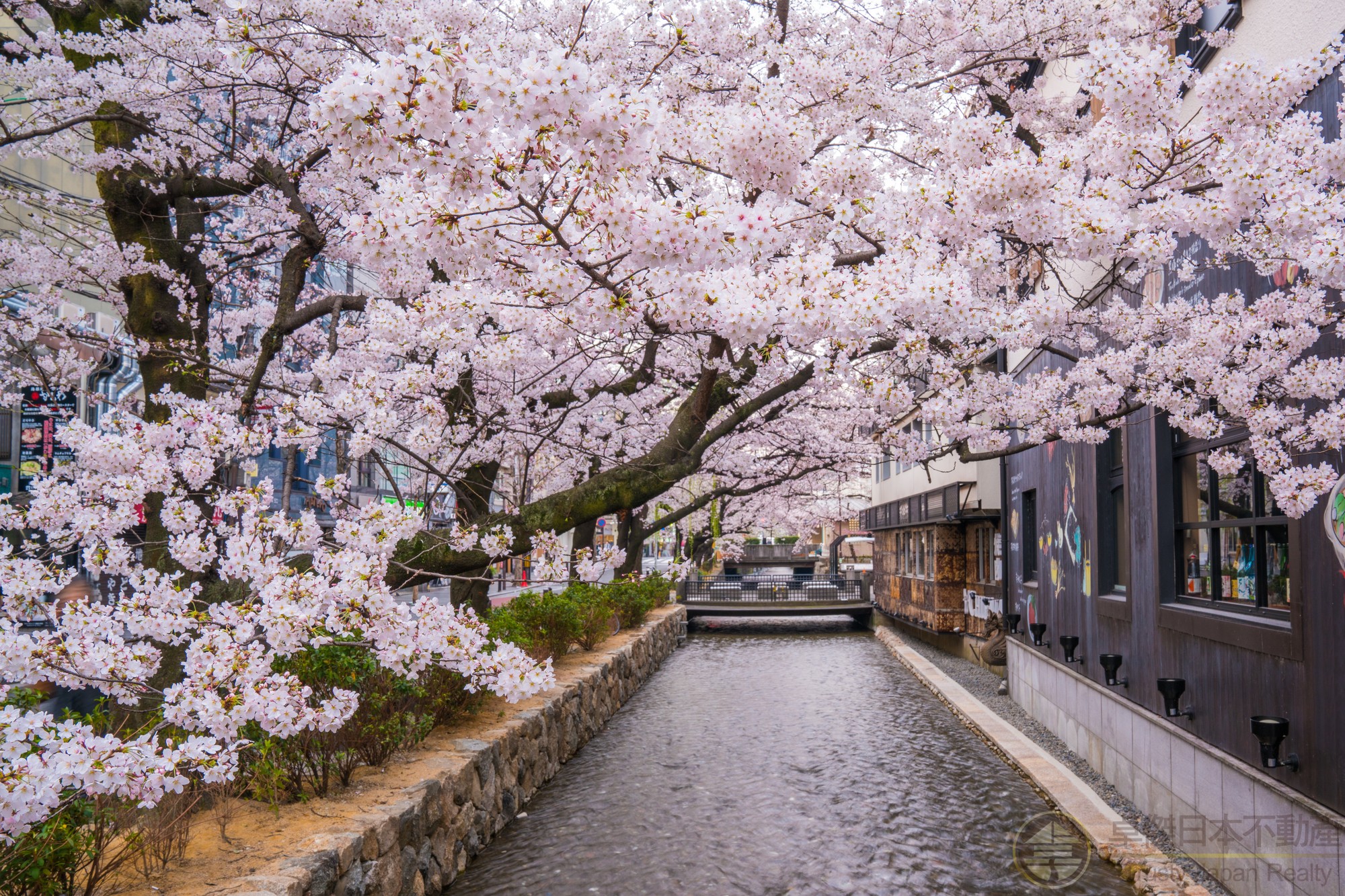 京都市內屈指可數的繁華街而熱鬧的河原町，殘留有京都風格的街道—祇園四條