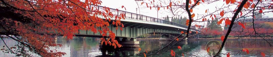 拥享🌸桜花🍁红叶🎇花火、大阪“源八桥”河畔方向物业‼