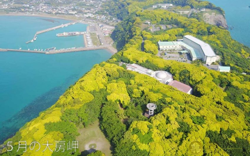 日本海景🌊豪宅 連超大日式庭園🏡 574萬港幣