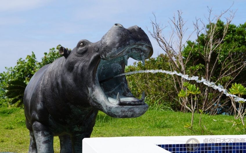 擁有您的私人沙灘 沖繩希有一棟泳池民宿!