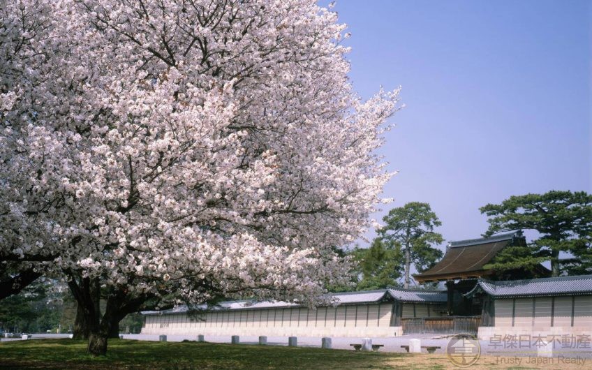京都超值單位😍😍步行可到京都御所，特色大陽台🌈🌈