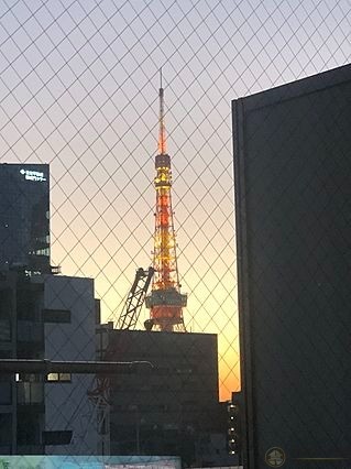 又在山手線上, 又是港區內, 又可以在家看到東京塔🗼買來自住不錯!!