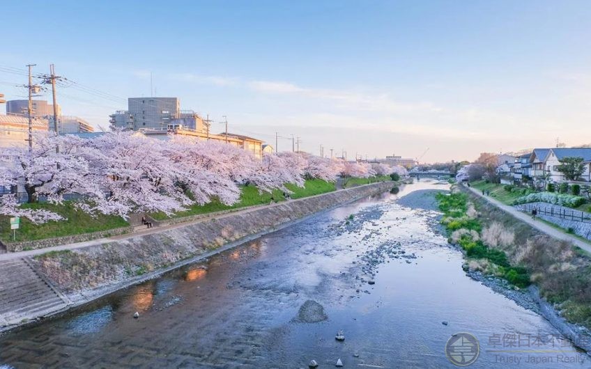 京都著名地點 – 鴨川 新樓齡樓盤